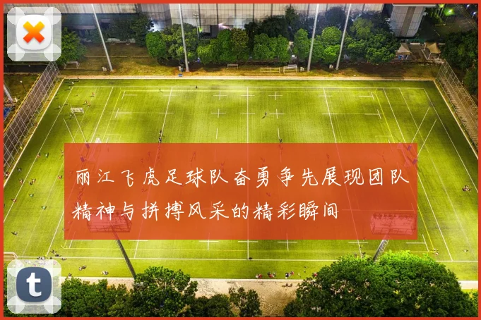 丽江飞虎足球队奋勇争先展现团队精神与拼搏风采的精彩瞬间