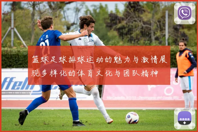 篮球足球排球运动的魅力与激情展现多样化的体育文化与团队精神