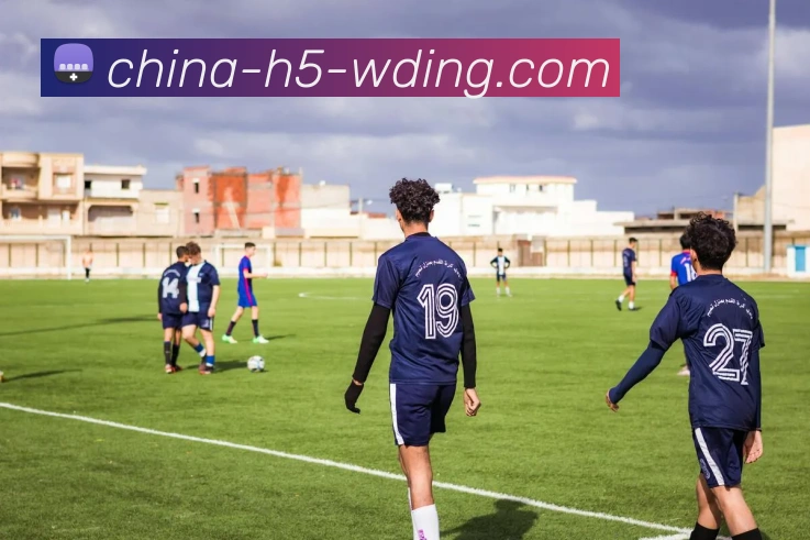 问鼎娱乐平台生态图